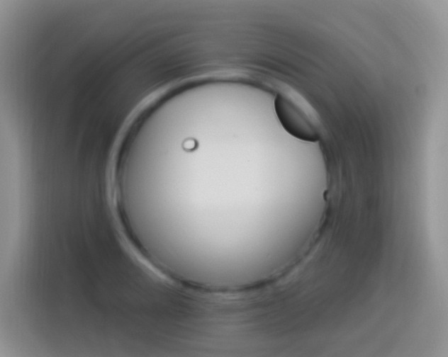 X0000113881080200910011128