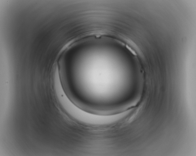 X0000113881081200910011128