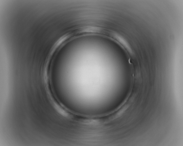 X0000113881082200910011128