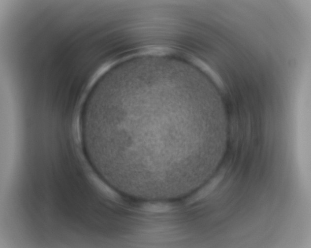 X0000113881083200910011128