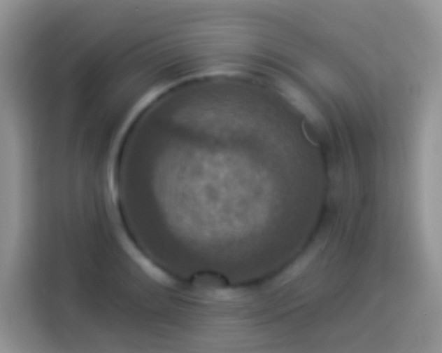 X0000113881084200910011128