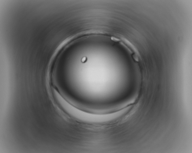 X0000113881085200910011128