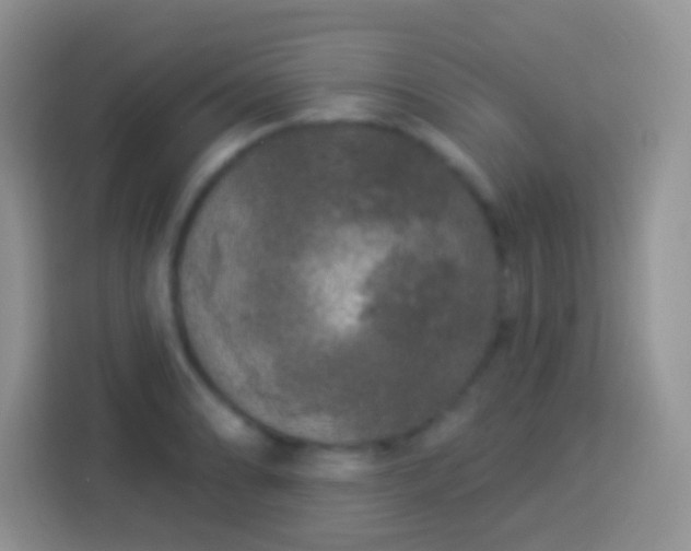 X0000113881086200910011128