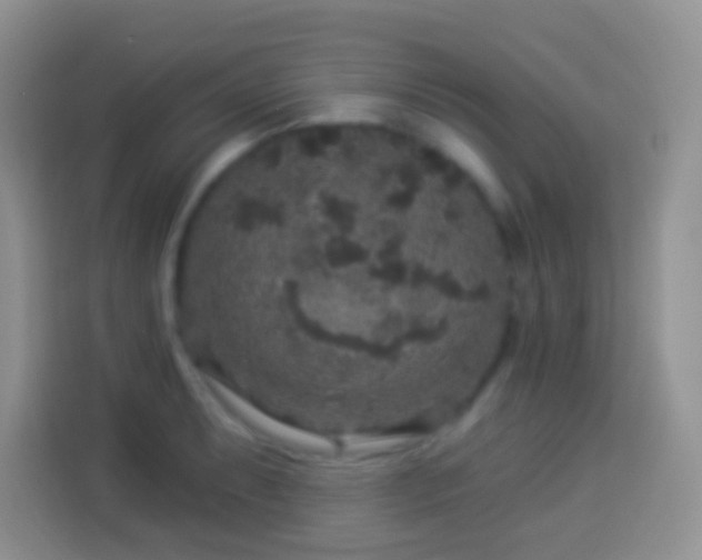 X0000113881087200910011127