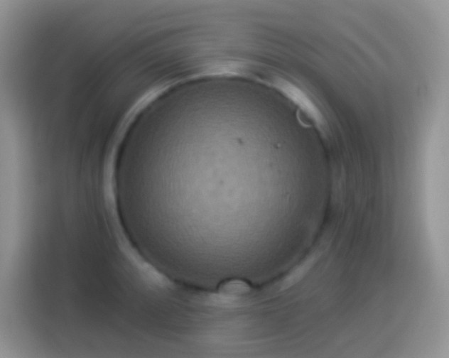 X0000113881088200910011127