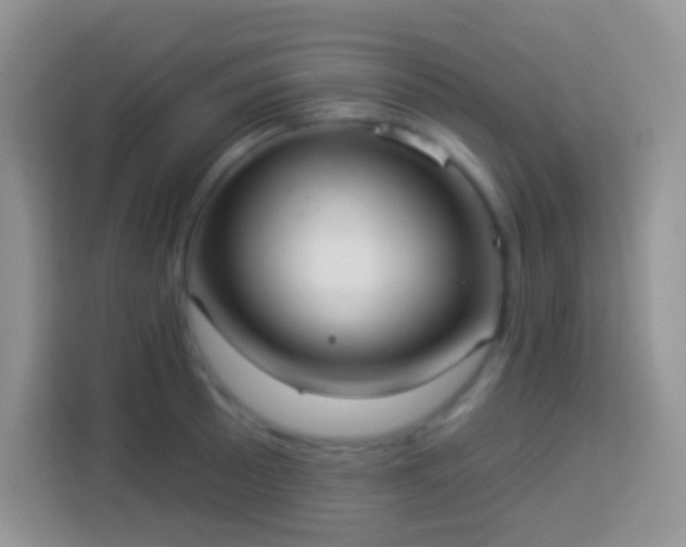 X0000113881089200910011127