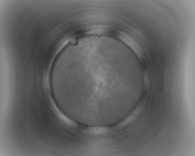 X0000113881090200910011127