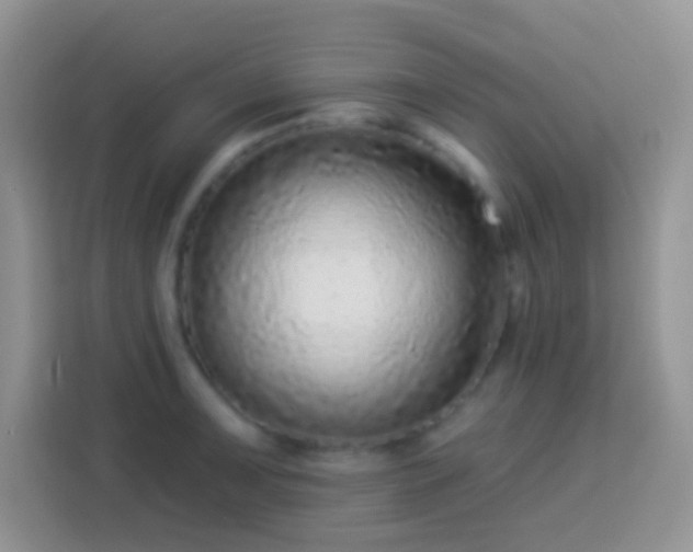 X0000113881091200910011127