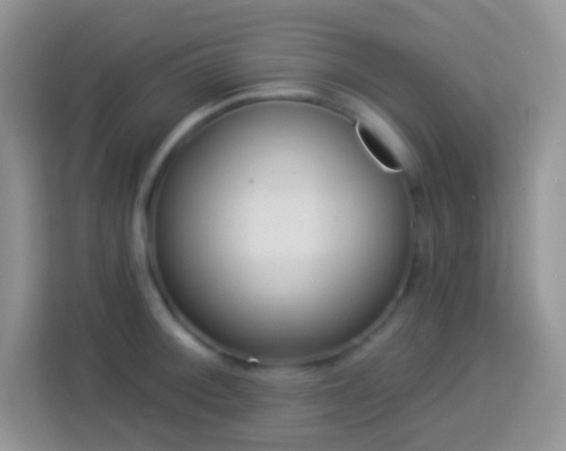 X0000113881092200910011127