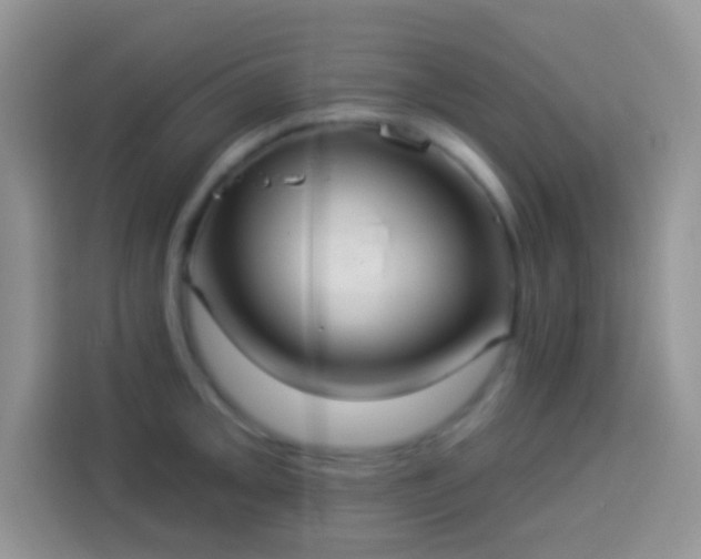 X0000113881093200910011127