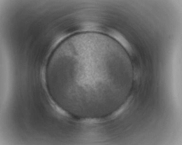 X0000113881094200910011127