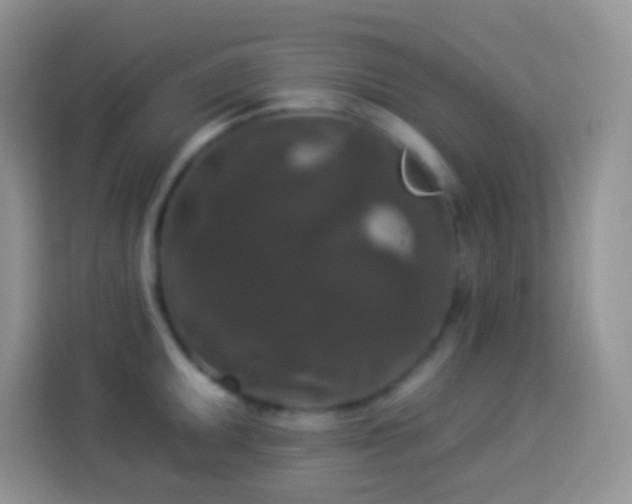 X0000113881095200910011127