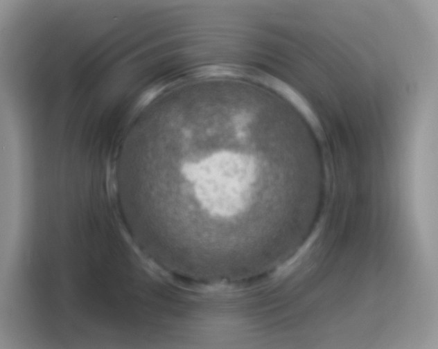 X0000113881097200910011127