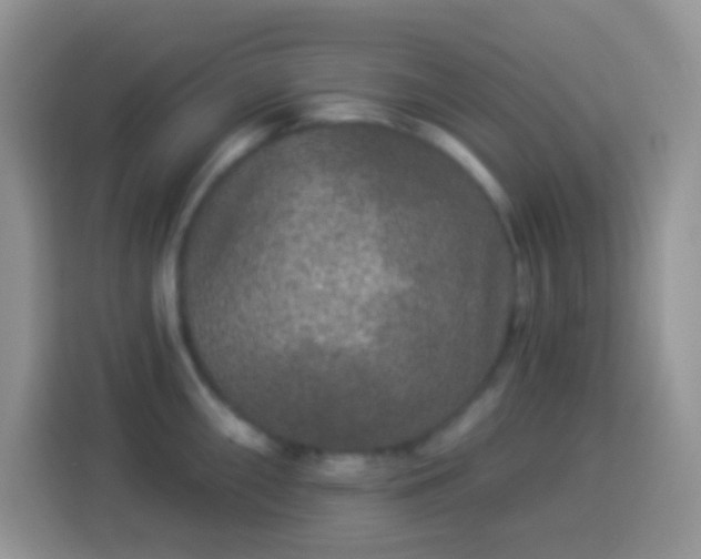 X0000113881098200910011127