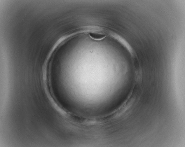 X0000113881099200910011127