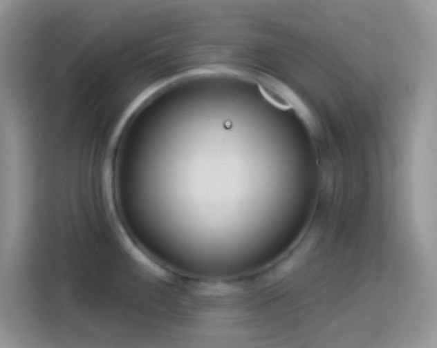 X0000113881100200910011127