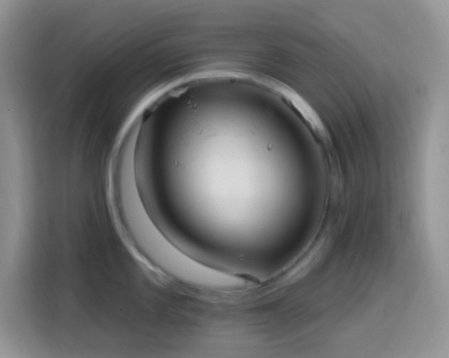 X0000113881101200910011127