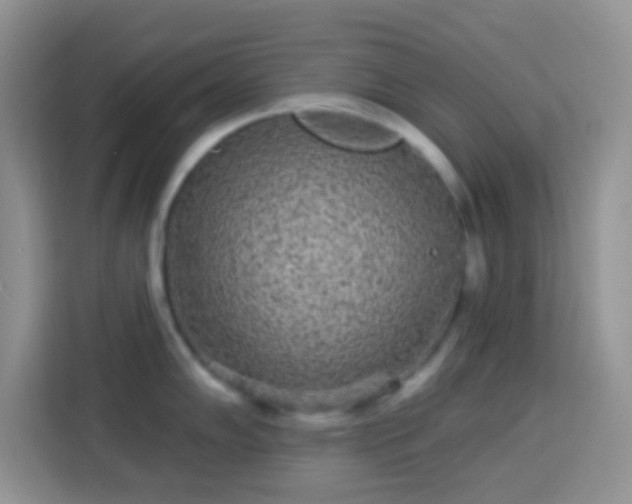 X0000113881102200910011127