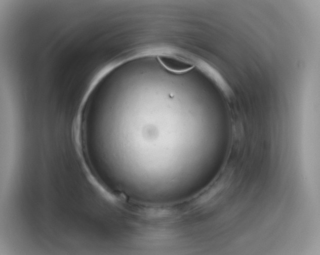 X0000113881103200910011127