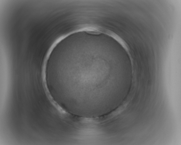 X0000113881104200910011127