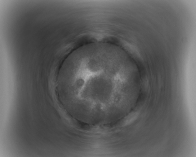 X0000113881105200910011127