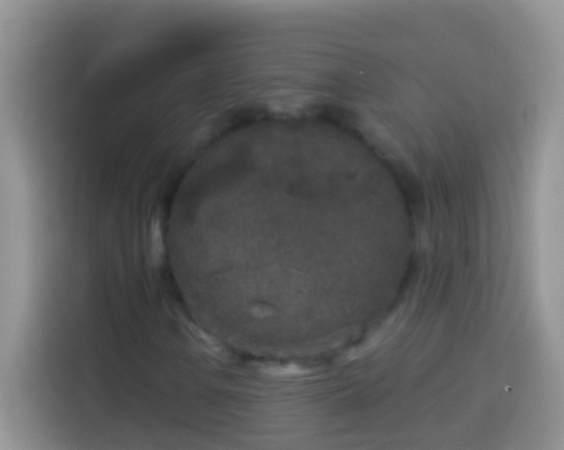 X0000113881106200910011127