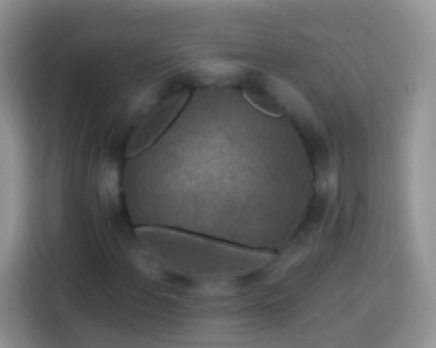 X0000113881108200910011127