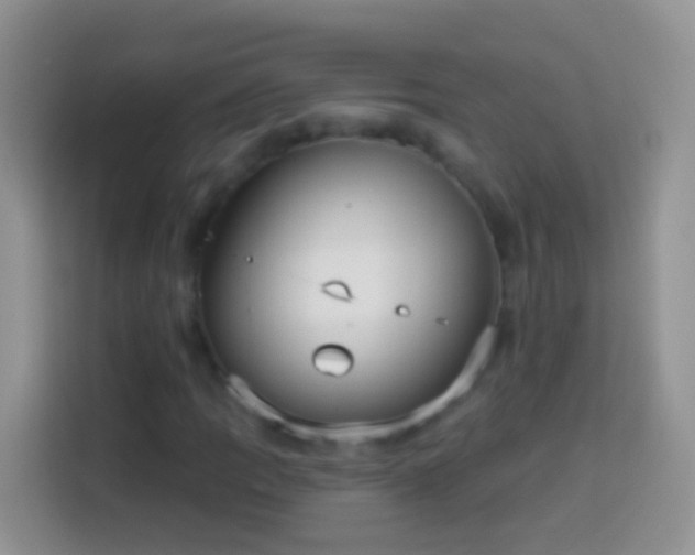 X0000113881109200910011127