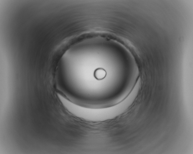 X0000113881110200910011127