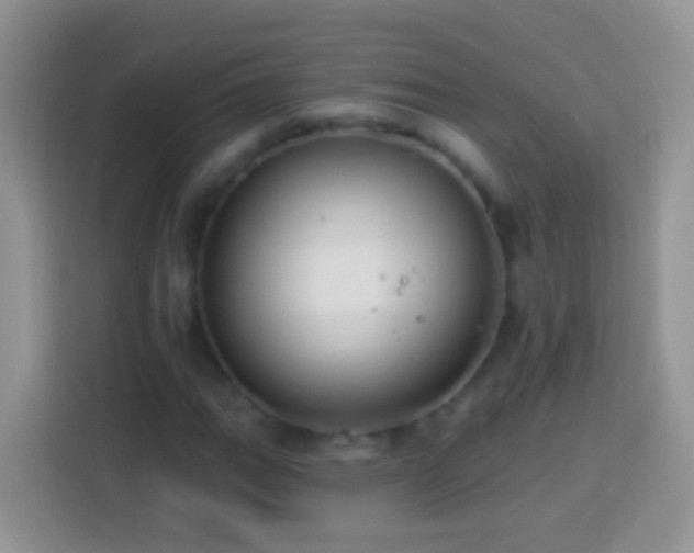 X0000113881111200910011127