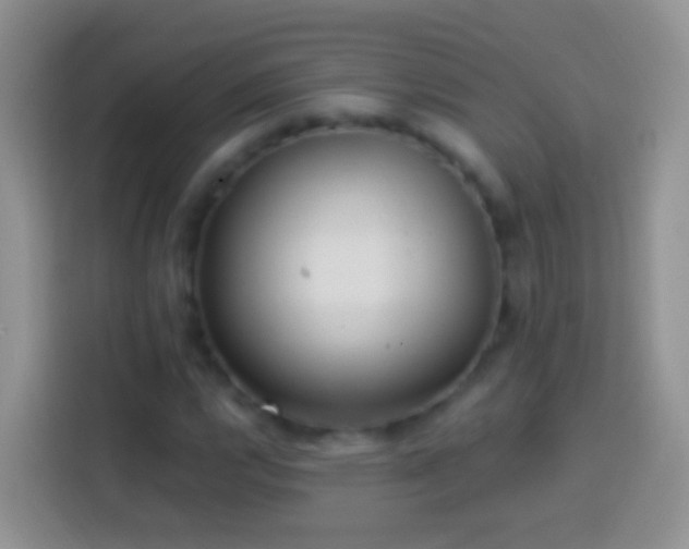 X0000113881112200910011127