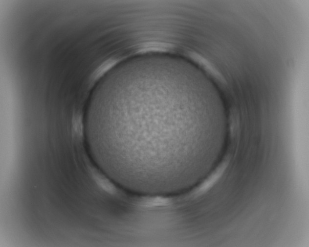 X0000113881113200910011127