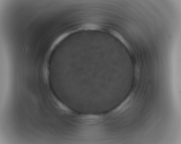 X0000113881115200910011127