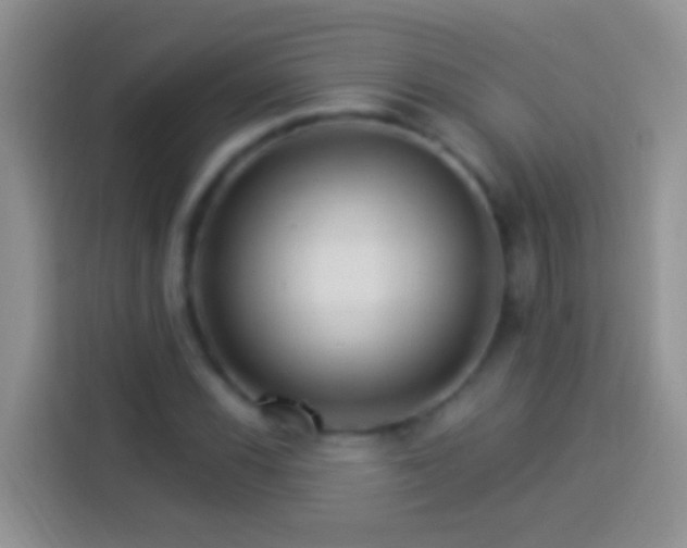 X0000113881116200910011127