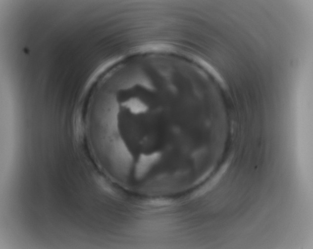 X0000113881117200910011127