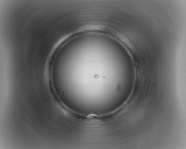 X0000113881119200910011127