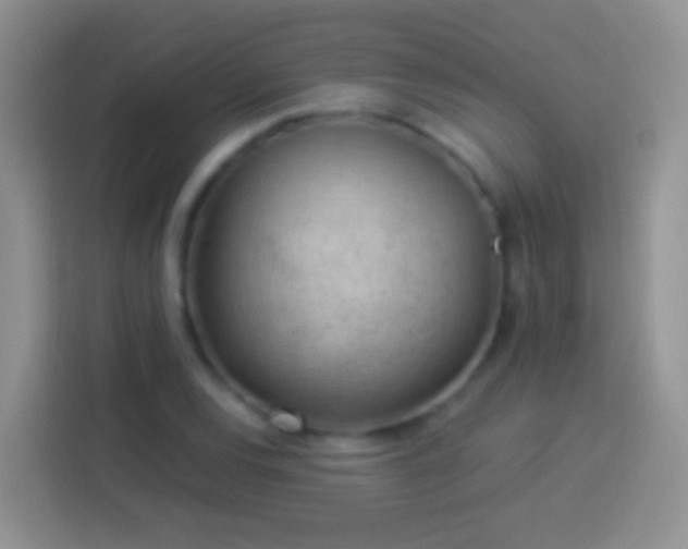 X0000113881120200910011127