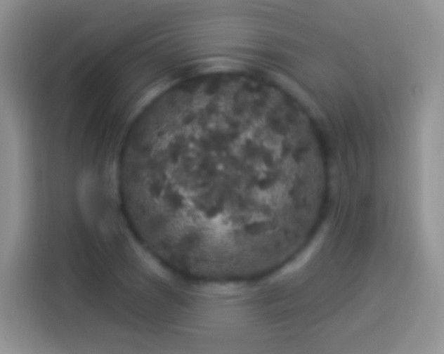 X0000113881121200910011127