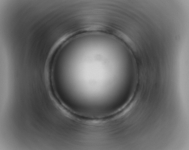 X0000113881122200910011127