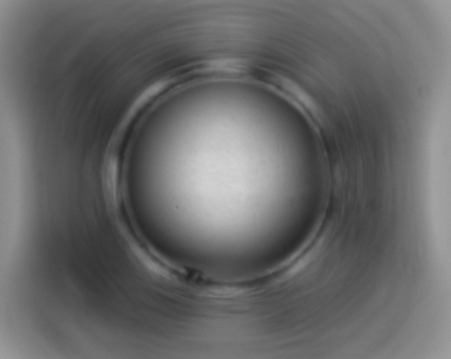 X0000113881123200910011127