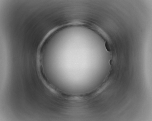 X0000113881124200910011127