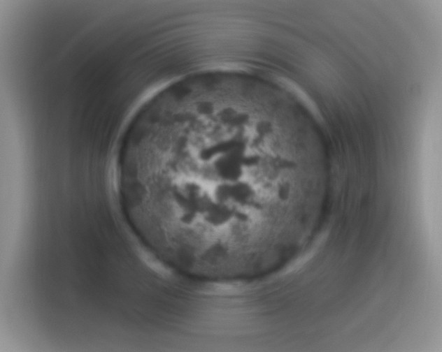 X0000113881125200910011127