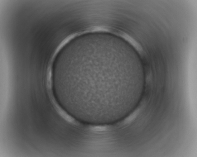 X0000113881126200910011127