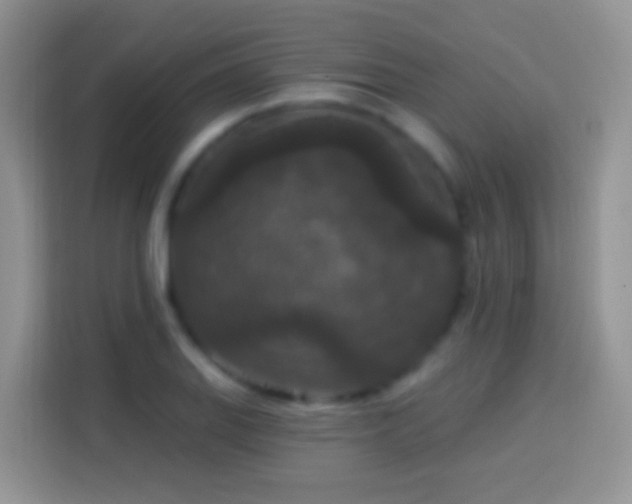 X0000113881127200910011127