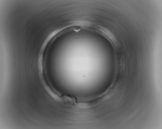 X0000113881128200910011127