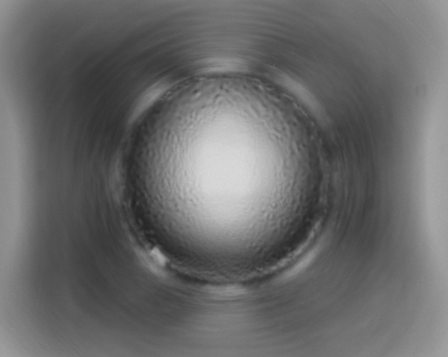 X0000113881129200910011127