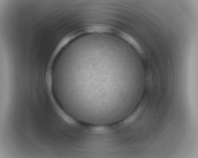 X0000113881130200910011127