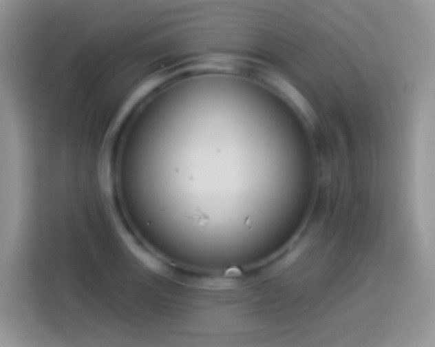 X0000113881131200910011127