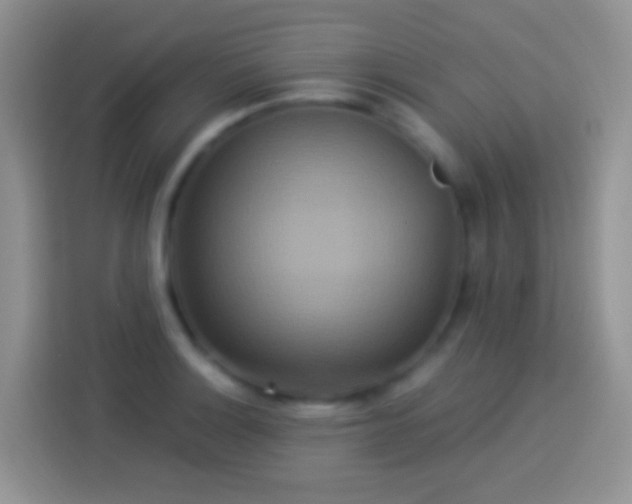 X0000113881132200910011127