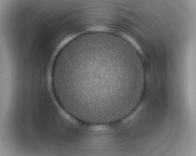 X0000113881133200910011127